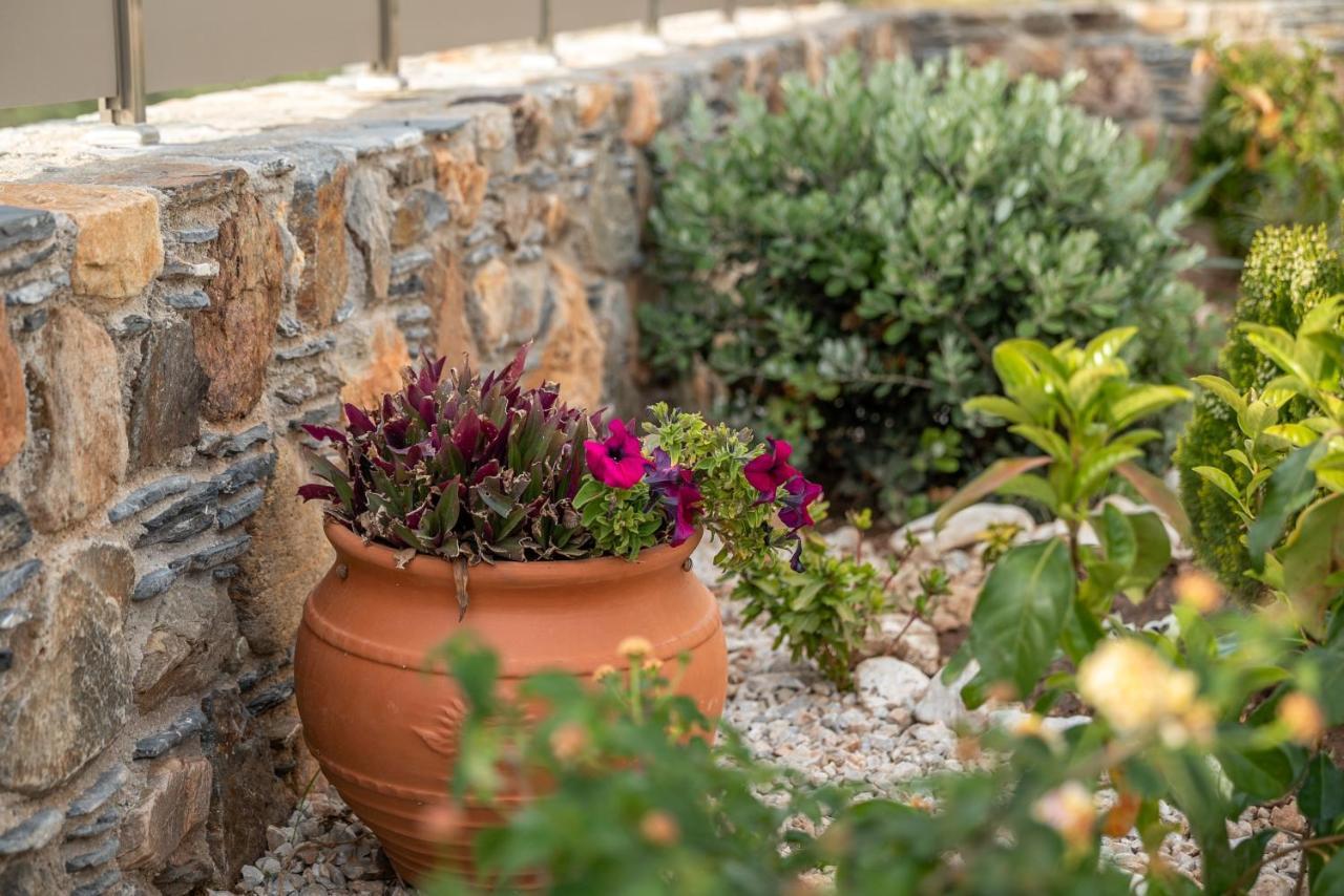 Pink Sand Villas Άγιος Παντελεήμονας Εξωτερικό φωτογραφία